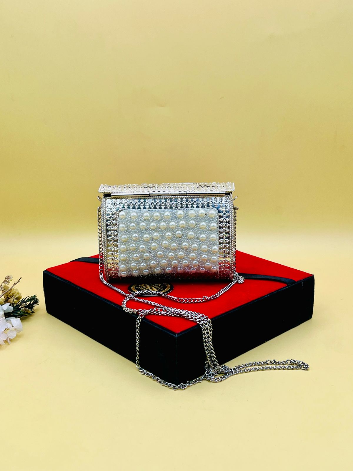 Mother of Pearl Silver Metal Bag