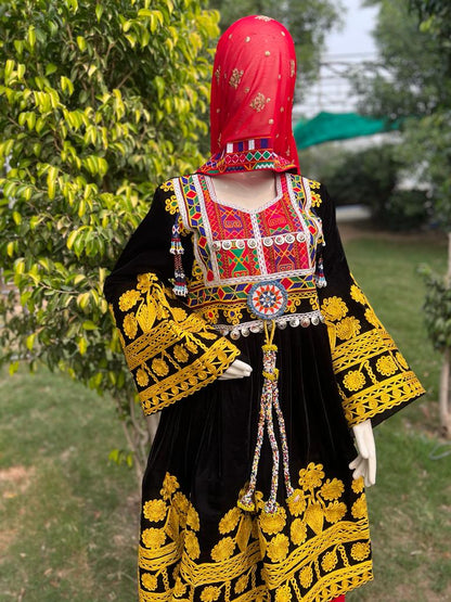 Golden Charma Hand Embroidered Velvet Dress